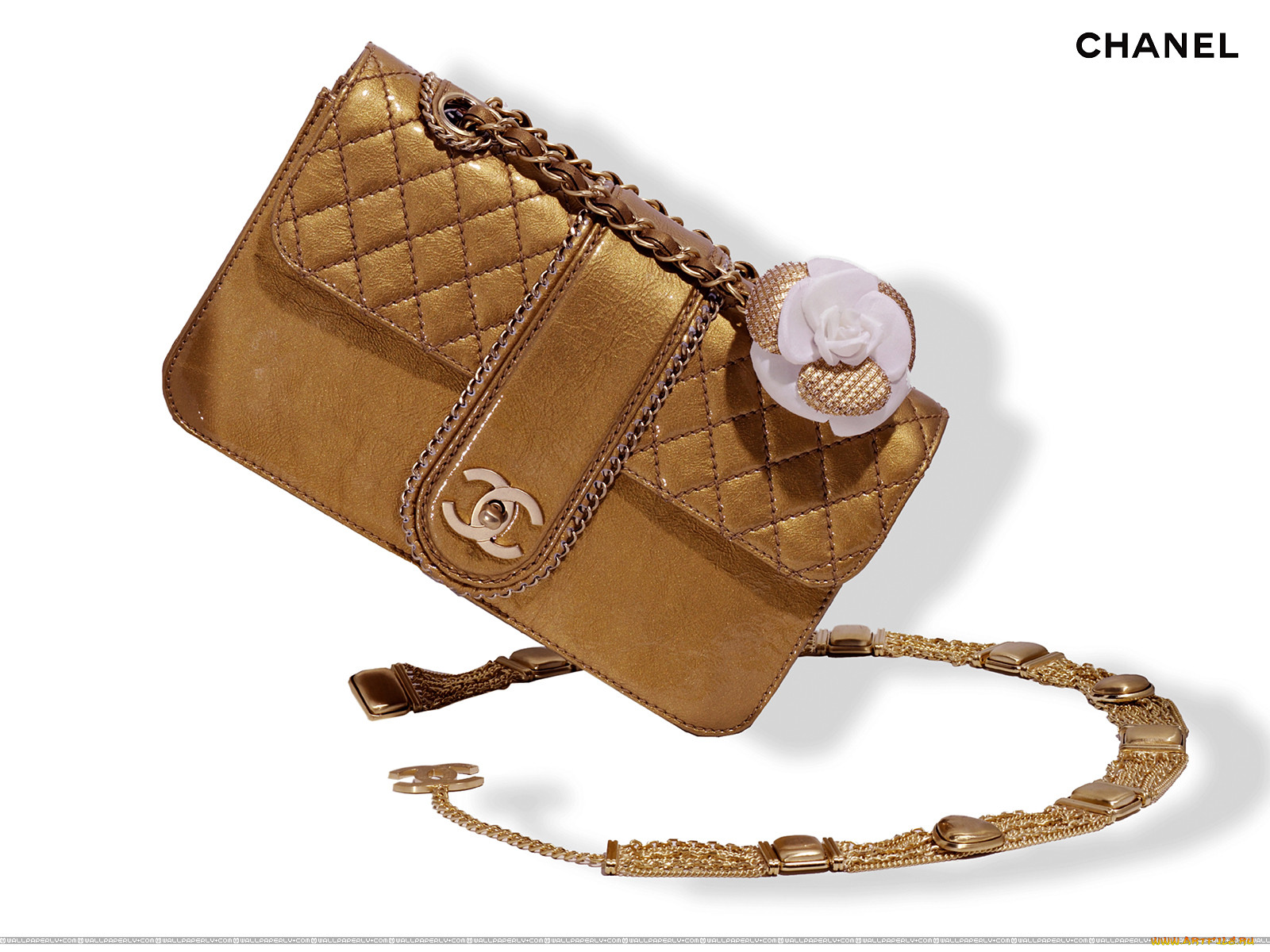 , chanel